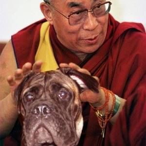 Meet your Posher, Tim